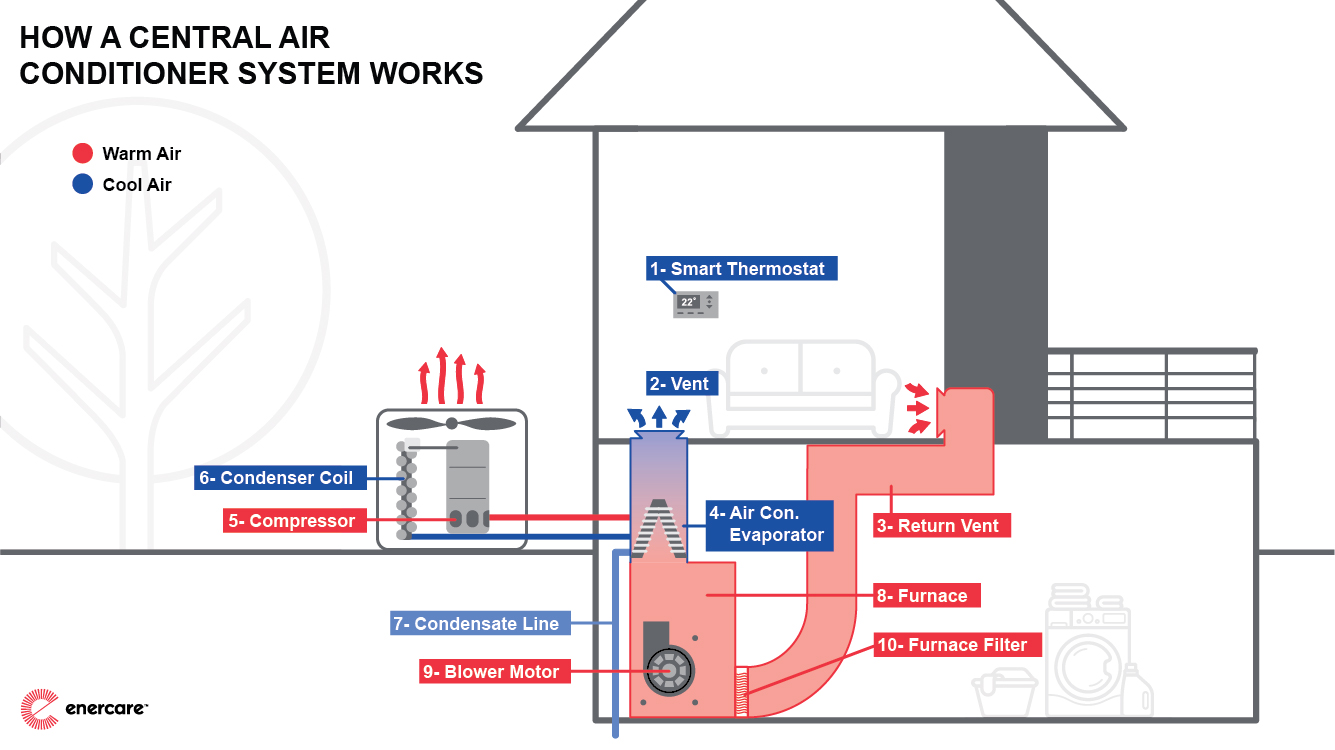 显示中央空调如何从家中排出热空气的图表。空调示意图讨论了蒸发器盘管、压缩机、冷凝器风扇和膨胀阀